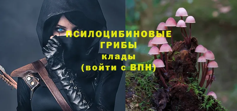 ОМГ ОМГ ССЫЛКА  Кедровый  Галлюциногенные грибы Psilocybe 